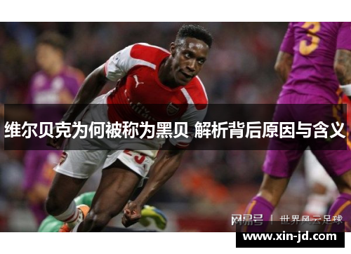 维尔贝克为何被称为黑贝 解析背后原因与含义